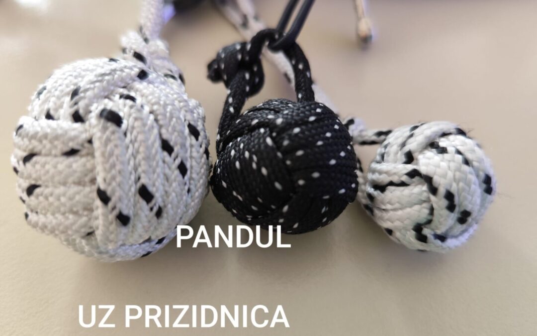 Pandul – novi proizvod učeničke zadruge!