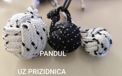 Pandul – novi proizvod učeničke zadruge!